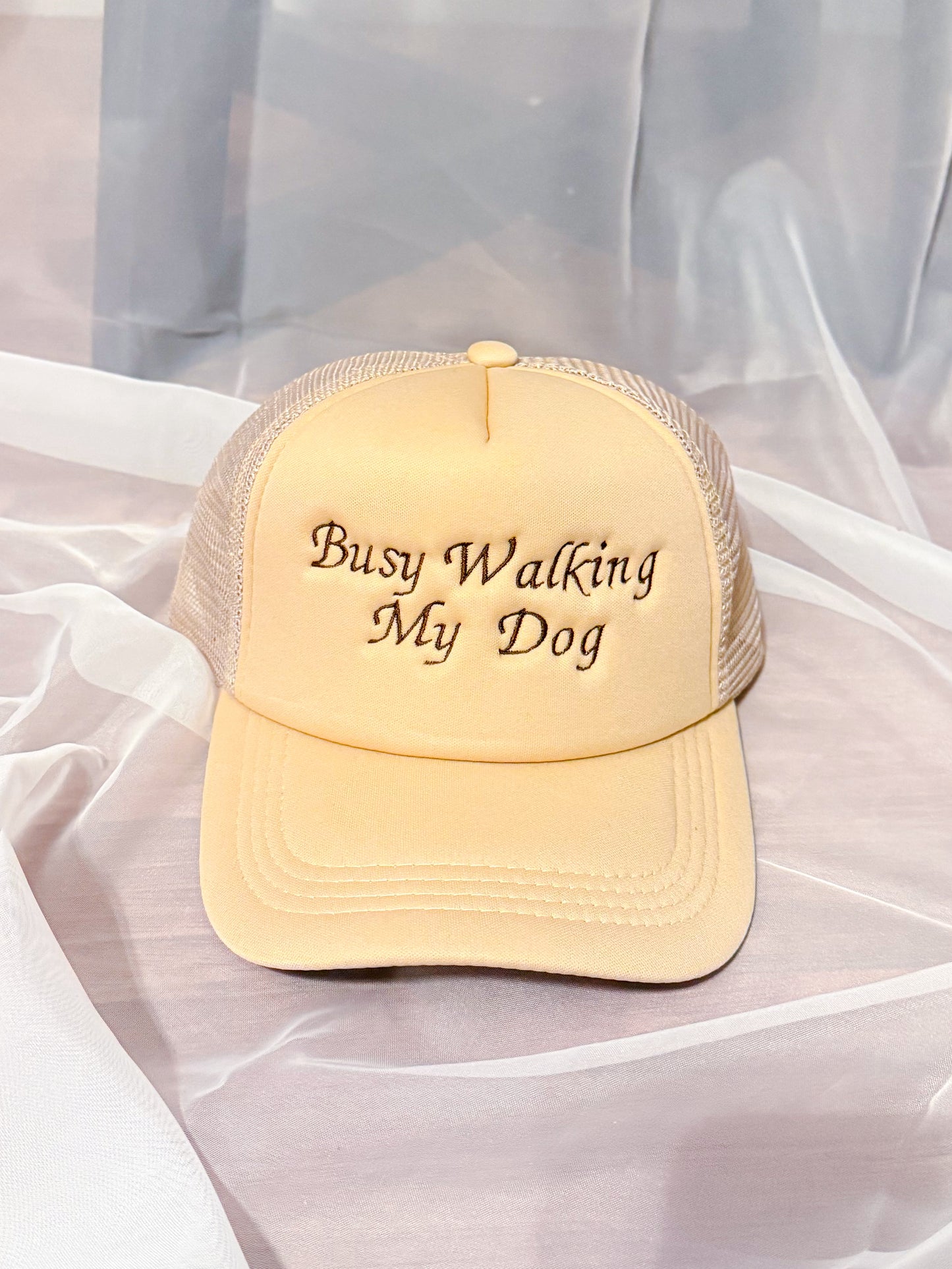 Busy Walking My Dog Hat